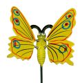 Floristik24 Butterfly on stick 8cm Yellow