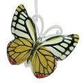 Floristik24 Butterfly to hang colorful assorted 5.5cm 3pcs