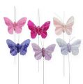 Floristik24 Decorative butterflies on a wire 5.5cm 24pcs