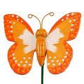 Floristik24 Decorative plug butterfly orange 6.5cm 24pcs