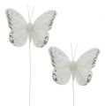 Floristik24 Butterflies white 8cm with mica 6pcs