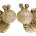 Floristik24 Snail with flowers summer decoration garden snails brown/pink/green 9.5cm set of 2