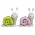 Floristik24 Pair of snails, decorative figures to put down, ceramic, green/purple 2pcs