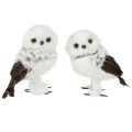 Floristik24 Snowy Owl Decorative Figurine, Owl Pair, White and Brown, 12cm High, 2 Pieces