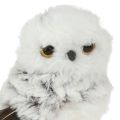 Snowy Owl Decorative Figurine, Owl Pair, White and Brown, 12cm High, 2 Pieces | Floristik24.ie