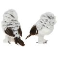 Snowy Owl Decorative Figurine, Owl Pair, White and Brown, 12cm High, 2 Pieces | Floristik24.ie