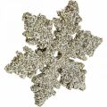 Floristik24 Snowflake wood 4cm light gold with mica 72pcs