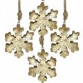 Floristik24 Snowflake mango wood natural, golden snow crystal Ø10cm 6pcs