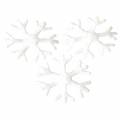 Floristik24 Scattered snowflakes white Ø17mm 240p