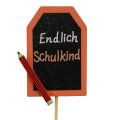 Floristik24 Back to school decorative plug “Finally school child” wood 7×5.5cm 16pcs
