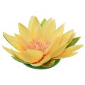 Floristik24 Floating water lily artificial summer decoration yellow Ø15cm