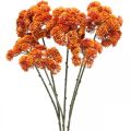 Floristik24 Sedum artificial sedum orange autumn decoration 70cm 3pcs
