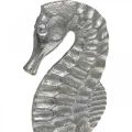 Floristik24 Seahorse to place, sea decoration made of metal, maritime sculpture silver, natural colors H22cm