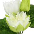 Floristik24 Water lilies artificial white 35cm