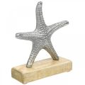 Floristik24 Metal starfish, maritime decoration, decorative sculpture silver, natural colors H18cm
