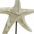 Floristik24 Starfish to place, maritime wood decoration natural color, white H23.5cm
