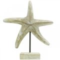 Floristik24 Starfish to place, maritime wood decoration natural color, white H23.5cm