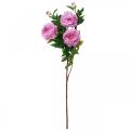 Floristik24 Silk flower peony artificial pink violet 135cm