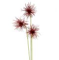 Floristik24 Silk flowers Xanthium Bordeaux 64cm 4pcs