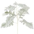 Floristik24 Artificial Senecio branch, silver leaf, intricately crafted, 45cm, 3 pieces
