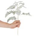 Artificial Senecio branch, silver leaf, intricately crafted, 45cm, 3 pieces | Floristik24.ie