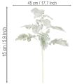Artificial Senecio branch, silver leaf, intricately crafted, 45cm, 3 pieces | Floristik24.ie