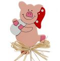 Floristik24 New Year&#39;s Eve decoration lucky pig plug 7cm 12pcs