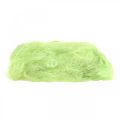 Floristik24 Sisal May green decoration natural fiber sisal fiber 300g