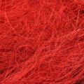 Floristik24 Sisal red bordeaux natural fiber 300g