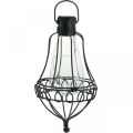 Floristik24 Solar lamp for hanging, garden lantern warm white Ø11cm H21cm