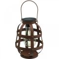 Floristik24 Solar lamp, garden light, decorative lantern warm white Ø14.5cm H19cm