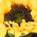 Artificial sunflower with realistic leaves and blossoms, 58cm, 3 pieces | Floristik24.ie