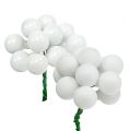 Floristik24 Mirror berries Ø2cm white matt, glossy 140 pcs