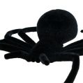 Floristik24 Spider black 16cm flocked