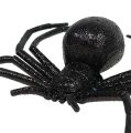 Floristik24 Spider black 16cm with mica