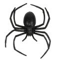 Floristik24 Spider black 16cm with mica