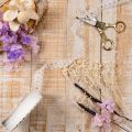 Decorative ribbon with lace, cotton, fine border, on a roll, 25mm wide, 10m long | Floristik24.ie