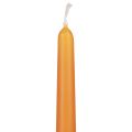Floristik24 Tapered candles Wenzel candles orange 250/23mm 12pcs
