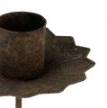 Taper candle holder for sticking Ø7cm rust 4pcs | Floristik24.ie