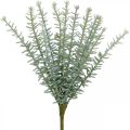 Floristik24 Sprengerie Ornamental Asparagus Artificial Plants Green 23cm 4pcs