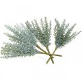 Floristik24 Sprengerie Ornamental Asparagus Artificial Plants Green 23cm 4pcs