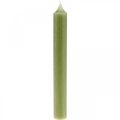 Floristik24 Rod candle green colored wax candles 180mm/Ø21mm 6pcs