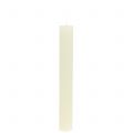 Floristik24 Solid colored cream taper candles, 34mm x 240mm, 4 pieces