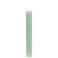 Floristik24 Taper Candles Solid Colored Light Green 34mm x 240mm 4 Pcs