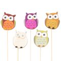 Floristik24 Wooden owl plant stakes for flower bouquets and plant pots, 31cm, 12 pieces
