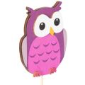 Wooden owl plant stakes for