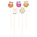 Wooden owl plant stakes for