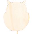 Wooden owl plant stakes for