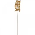 Garden stake rust owl metal patina plug 19cm | Floristik24.ie