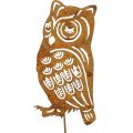 Garden stake rust owl metal patina plug 19cm | Floristik24.ie